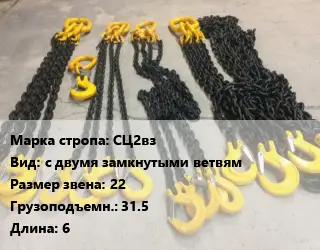 Строп цепной СЦ2вз с двумя замкнутыми ветвям Звено:22 Грузопод.31.5 L=6